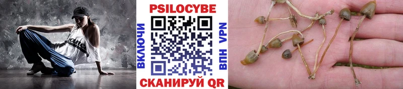 mega ссылка  купить  сайты  Усть-Катав  Галлюциногенные грибы Magic Shrooms 